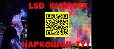 spice Камышлов