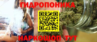 spice Камышлов