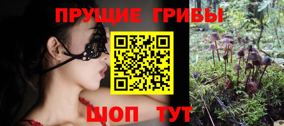 Геленджик  Галлюциногенные грибы мицелий  Вход с VPN 